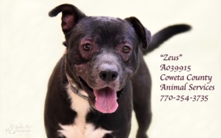 A-14ZeusA039915pic3.jpg