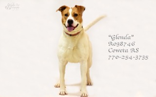 A-17GlendaA038746pic2.jpg