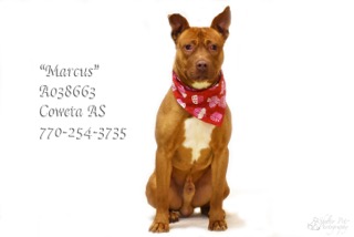 A-1MarcusA038663pic2.jpg