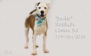 A-20JackieA038481pic2.jpg
