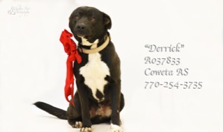 B-14DerrickA037833pic4.jpg