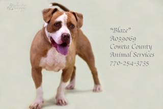 B-4BlazeA039069pic3.jpg