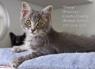 C-13SnoopA040343pic3.jpg