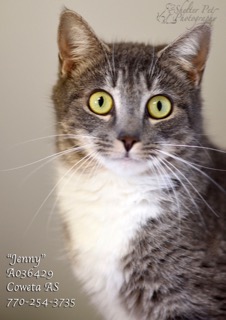 C-1JennyA036429pic1.jpg