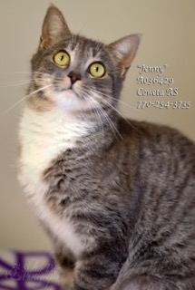 C-1JennyA036429pic2.jpg